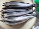 大號秋刀魚(yú) 3-5條/斤無(wú)冰凈重新鮮海捕鮮活冷凍海鮮燒烤食材魚(yú)類(lèi) 海捕秋刀魚(yú)4斤（3-5條/斤） 曬單實(shí)拍圖