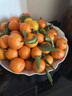 正宗廣西砂糖橘沙糖桔新鮮水果當季桂林橘子整箱 帶箱8斤 凈重7.5斤 小果（30-35mm） 曬單實(shí)拍圖