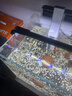 吉印刀鋒s魚(yú)缸燈led燈防水全光譜魚(yú)缸照明燈水草燈小型超白魚(yú)燈56cm 曬單實(shí)拍圖