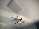 鉆石牌（DIAMOND）吊扇燈風(fēng)扇燈客廳大風(fēng)量餐廳帶燈吊扇中式復古簡(jiǎn)約LED照明遙控一體風(fēng)扇 5319-42寸刀葉古銅色雙控 曬單實(shí)拍圖
