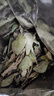 弘禮堂柿子葉200克 新鮮干貨柿葉霜后柿子樹(shù)葉霜打柿子葉茶干泡水喝 曬單實(shí)拍圖
