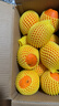 哆莫香美國進(jìn)口黑標橙子新鮮水果當季黑標臍橙 進(jìn)口3107橙子甜橙禮盒 甄選大果10斤【無(wú)禮盒】 曬單實(shí)拍圖