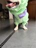 嬉皮狗（hipidog）全包撞色柯基沖鋒雨衣中小型犬臘腸犬四腳狗狗雨衣雨天寵物狗衣服 塞倫紫【卡碼建議拍大】 2XL （建議體重30-38斤） 曬單實(shí)拍圖