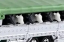 多美卡TOMY合金小汽車(chē)模型玩具長(cháng)款139號奶牛運輸車(chē)新年禮物798323 曬單實(shí)拍圖