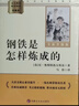 鋼鐵是怎樣練成的 駱駝祥子（全2冊）升級版 適用新版人教教材配套閱讀 名師推薦考點(diǎn)精煉 初中七年級下冊必讀課外閱讀書(shū)經(jīng)典文學(xué)名著(zhù)指定讀物 無(wú)障礙閱讀青少年文學(xué) 曬單實(shí)拍圖