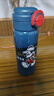 迪士尼（Disney）兒童保溫杯316不銹鋼直飲吸管水杯子幼兒園學(xué)生寶寶雙飲水壺米奇 曬單實(shí)拍圖