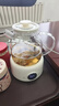 olayks立時(shí)全玻璃養生壺 純玻璃0膠水辦公室輕音花茶燒水壺 家用小型一人煮茶壺燉煮保溫一體全自動(dòng)恒溫 曬單實(shí)拍圖