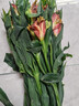 水仙百合六初花六出花昆明斗南基地直發(fā)真花插花水養插花 8-10支 隨機色 曬單實(shí)拍圖