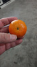 京覓四川紅心柚 3-4粒 凈重8-9斤 紅肉蜜柚金柚新鮮水果柚子 源頭直發(fā) 曬單實(shí)拍圖