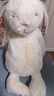 Jellycat花布邦尼兔動(dòng)物毛絨玩偶兔子玩偶兒童禮物娃娃生日新年禮物 白芮（乳白色） Medium 曬單實(shí)拍圖