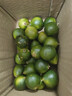 海南小金桔青桔新鮮青檸檬青柑皮薄應季當季水果檸檬新鮮整件免郵 小青檸（中果5g起） 250g 曬單實(shí)拍圖