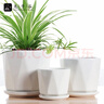 九千谷陶瓷花盆北歐簡(jiǎn)約輕奢高級家用桌面蝴蝶蘭多肉綠植盆栽4件套3840 曬單實(shí)拍圖