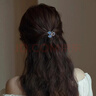 向晚發(fā)夾小抓夾女水鉆小發(fā)夾女小夾子頭頂小號抓夾側邊發(fā)卡女新年禮物 曬單實(shí)拍圖