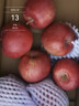 甘肅天水花牛蘋(píng)果平安果圣誕果過(guò)當季新鮮水果蘋(píng)果寶寶粉面香甜 帶箱3斤65-70mm 曬單實(shí)拍圖