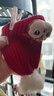 巴拉巴拉兒童帽子男童女孩可愛(ài)保暖加厚護耳帽冬季針織毛線(xiàn)帽208424160204 曬單實(shí)拍圖