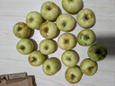 山東新鮮青蘋(píng)果水果整箱斤當季綠蘋(píng)果包郵應季酸脆孕婦丑萍平果 帶箱5斤凈重4.5斤(60-70mm) 曬單實(shí)拍圖