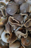 當天捕撈貓眼螺鮮活野生大號香螺沙螺海螺黑香螺海鮮水產(chǎn)貝類(lèi)無(wú)沙 1500克 曬單實(shí)拍圖