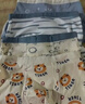 棉奇熊男童內褲兒童棉質(zhì)平角褲男孩四角4條不夾PP中大童底褲-B093 曬單實(shí)拍圖