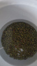 綠豆 白豌豆 雜豆新貨綠豆湯發(fā)豆芽緣豆子大粒毛綠豆 精選中綠豆250g 曬單實(shí)拍圖