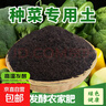 春強農業(yè)種菜營(yíng)養土種植土壤10斤蔬菜瓜果家用植物優(yōu)質(zhì)園藝室內盆 農家肥種菜土/肥力持久/不燒苗 種菜土30斤【無(wú)異味不燒苗】 曬單實(shí)拍圖