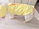 華元寵具（hoopet）大狗雨衣寵物狗狗四腳全包中大型犬邊牧沖鋒衣防水戶(hù)外衣服雨披 透明帽檐雨衣-黃色【護肚毛 防打濕】 6XL-背長(cháng)58cm（50-60斤） 曬單實(shí)拍圖