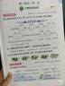 【贈定制錯題本】2026春季53天天練小學(xué)數學(xué)一年級下冊RJ人教版五三天天練53天天練5.3天天練5·3天天練學(xué)霸培優(yōu)學(xué)霸提優(yōu) 曬單實(shí)拍圖