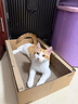 pidan貓抓板 紙盒款 瓦楞紙貓窩耐磨貓玩具 曬單實(shí)拍圖