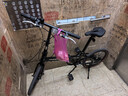 鳳凰（Phoenix）折疊自行車(chē)成人鋁合金車(chē)架禧瑪諾變速免安裝便攜代步20寸7速 曬單實(shí)拍圖