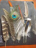 易迪鹿 YIDULU【真羽毛】鳥(niǎo)羽鵝毛孔雀標本手工畫(huà)山雞鴕鳥(niǎo)相框銅雞鴨逗貓收藏 羽毛組合3 10支長(cháng)度8-30cm 曬單實(shí)拍圖