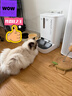小佩AI寵物智能自動(dòng)雙子星喂食器可視版  實(shí)時(shí)視頻監控(支持?zhù)櫭芍锹?lián)) 曬單實(shí)拍圖