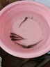 大口鯰魚(yú)苗批發(fā)淡水養殖食用二須兇猛土鯰魚(yú)苗冷水觀(guān)賞魚(yú)南方大口鯰魚(yú)苗 大口鯰魚(yú)苗8-10厘米5條【運損包賠】 曬單實(shí)拍圖