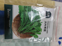 北蔬薺菜種子苗大葉老品種野外冬季蔬菜種籽 大葉薺菜種子2000粒x2包 曬單實(shí)拍圖