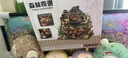 那家小屋diy小屋手工藝術(shù)森林奇遇別墅微縮積木拼裝立體解壓模型生日禮物 森林奇遇  diy小屋+防塵罩 曬單實(shí)拍圖