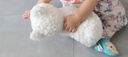 babycare&bct兒童毛絨玩具狗電子寵物哈基米玩偶節日生日新年禮物西高地犬 曬單實(shí)拍圖
