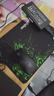 雷蛇（Razer）鼠標墊鍵盤(pán)墊電競重裝甲蟲(chóng)大號精密鎖邊游戲超大桌墊 辦公320x245x4mm細布鎖邊速度版 曬單實(shí)拍圖