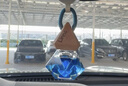 朗龍車(chē)載香水掛件車(chē)載香薰汽車(chē)香水掛飾車(chē)內香氛裝飾用品擺件新年禮物 曬單實(shí)拍圖