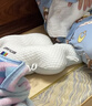 J.Sir定型枕嬰兒0-6個(gè)月睡圓頭枕頭新生兒糾正偏頭型抽繩小月齡睡枕 曬單實(shí)拍圖