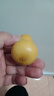 天然葫蘆文玩帶龍頭手捻把玩小精品野生葫蘆迷你家居客廳擺件 1個(gè)精品級【4-6厘米木塞口葫蘆】 曬單實(shí)拍圖
