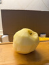 京鮮生 山東黃金維納斯蘋(píng)果 凈重4.5斤 單果140g+ 時(shí)令生鮮 源頭直發(fā) 曬單實(shí)拍圖