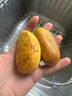 海南三亞小臺農大果當季臺農芒芒果皮薄肉厚純甜無(wú)絲爆汁【活動(dòng)】 單果80g+（帶箱8斤） 曬單實(shí)拍圖