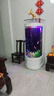 瑞龍（ruilong）半圓形魚(yú)缸客廳小型玻璃家用落地立式一體缸自循環(huán)生態(tài)金魚(yú)錦鯉缸 輕奢白 長(cháng)50*寬50*高138cm 曬單實(shí)拍圖