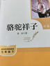 駱駝祥子+鋼鐵是怎樣煉成的  七年級下冊必讀名著(zhù)人教版【套裝2冊】與26春新版初中語(yǔ)文教材配套使用人民教育出版社初一語(yǔ)文教材配套閱讀 曬單實(shí)拍圖