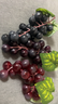 星恒夢(mèng)仿真葡萄串仿真水果塑料提子假水果模型道具綠色植物室內裝飾擺件 24粒葡萄(混色5串) 曬單實(shí)拍圖