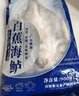 鮮城故事白蕉海鱸魚(yú)2條/共900g珠海地標三去海鱸魚(yú)開(kāi)袋即烹魚(yú)類(lèi)春節也送貨 曬單實(shí)拍圖