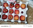 暢果匯正宗陜西洛川蘋(píng)果水果新鮮當季整箱紅富士冰糖心一級脆甜10包郵斤 80-85mm 帶箱10斤（凈重8.8斤） 8.8斤 曬單實(shí)拍圖