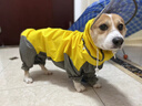 歡寵網(wǎng)狗狗雨衣全包四腳寵物狗小狗大型犬柯基雨披雨天遛狗防水防濕護肚 曬單實(shí)拍圖