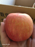 正宗新疆阿克蘇冰糖心蘋(píng)果新鮮水果脆甜禮盒整箱紅富士雪山丑蘋(píng)果 9斤 優(yōu)質(zhì)中果（75-80） 曬單實(shí)拍圖