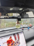 朗龍汽車(chē)香水掛件車(chē)載香薰香水掛飾車(chē)內香氛裝飾用品汽車(chē)擺件女神禮物 曬單實(shí)拍圖