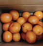 【當季爆甜】正宗廣西砂糖橘當季新鮮水果薄皮沙糖桔子蜜桔蜜橘子 砂糖橘帶箱1斤 曬單實(shí)拍圖
