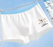 好孩子（gb）兒童內褲男7A抗菌棉4條平角短褲男孩 萌犬樂(lè )動(dòng)藍色 160 曬單實(shí)拍圖
